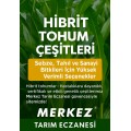 Hibrit Tohum Çeşitleri 