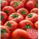 H-2274 Domates Tohumu – 5 gr | 210–220 gr Meyve, Kırmızı ve Etli Yapı | Merkez Tarım Eczanesi Seydişehir