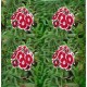 Çin Karanfili Çiçeği Tohumu – 100 Adet | Dianthus chinensis, Hoş Kokulu, Karışık Renkli Çok Yıllık Bitki | Merkez Tarım Eczanesi Seydişehir
