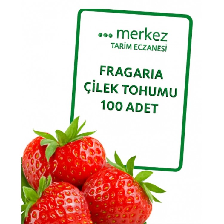 Fragaria Çilek Tohumu – 100 Adet | Aromatik ve Dayanıklı Çilek Tohumu Fragaria Çilek Tohumu – 100 Adet | Yüksek Verimli ve Aromatik Bahçe Tohumu | Merkez Tarım Eczanesi Seydişehir