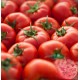 H-2274 Domates Tohumu – 5 gr | 210–220 gr Meyve, Kırmızı ve Etli Yapı | Merkez Tarım Eczanesi Seydişehir
